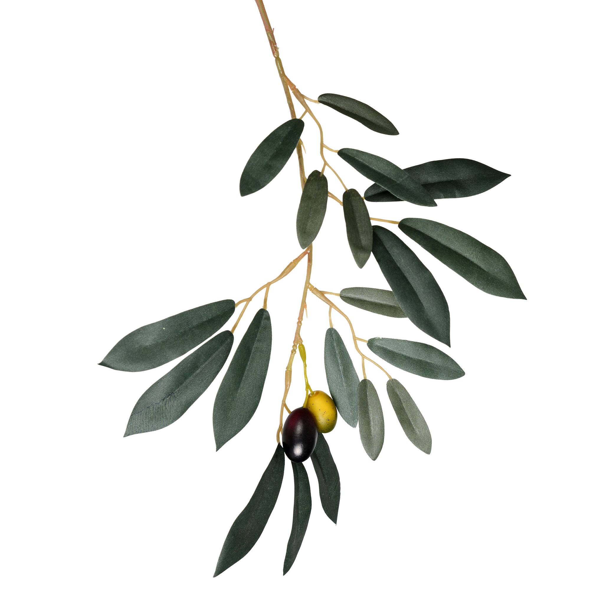 8ft. Potted Olive Tree